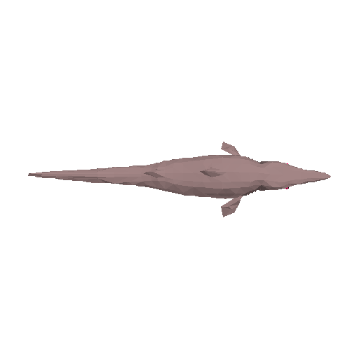 Goblin Shark model preview