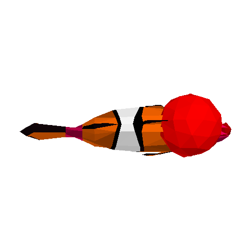 Clownfish Drip model preview