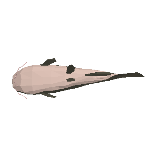 3D preview of Catfish