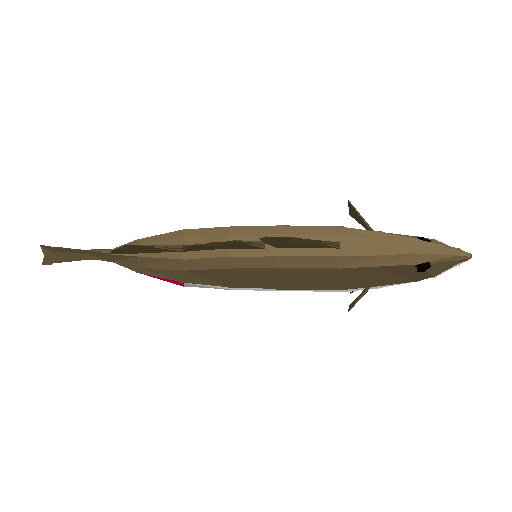 3D preview of Cod