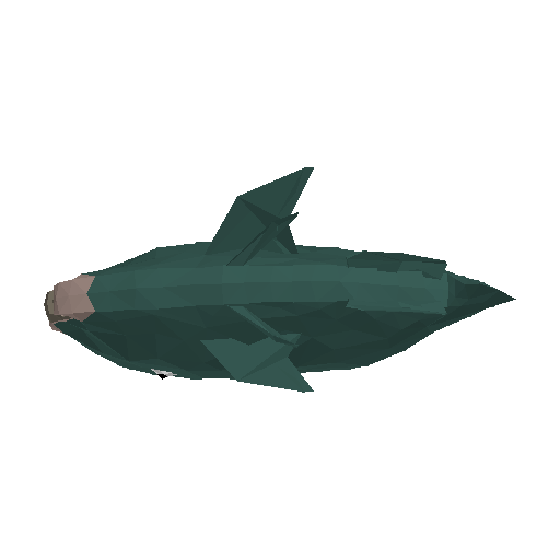 3D preview of Parrotfish