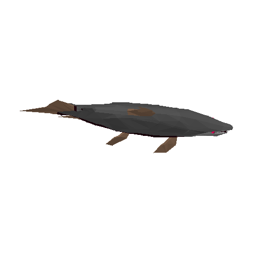 3D preview of Tigerfish