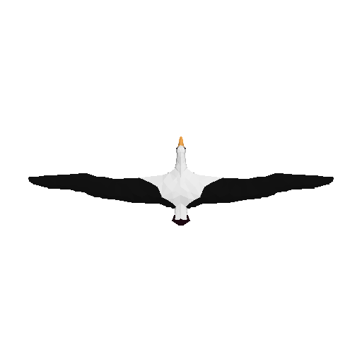 Albatross model preview