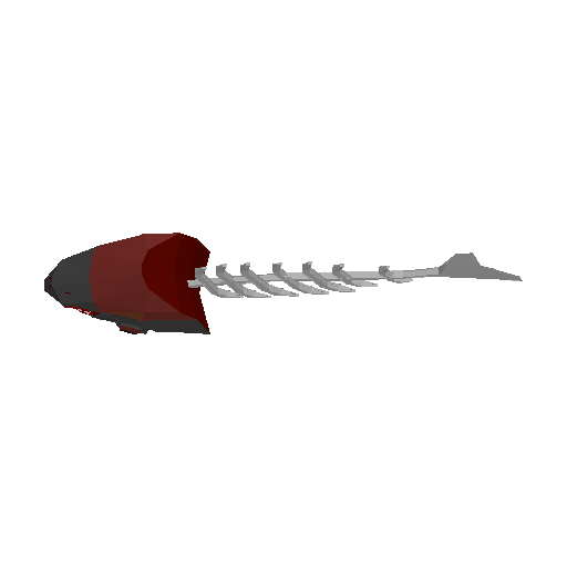 Giant Piranha Skeleton model preview
