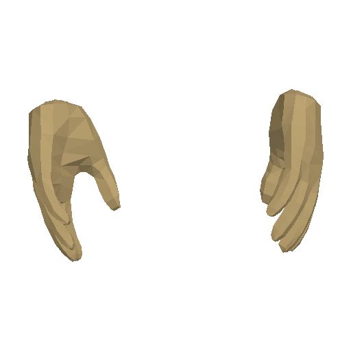 Hands model view 2