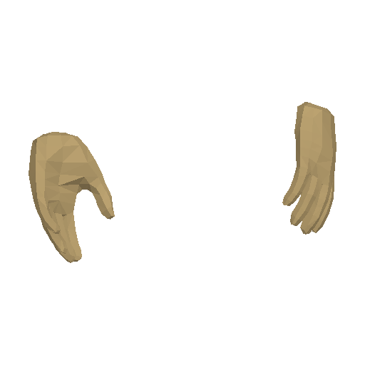 Hands model view 4