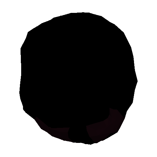Hat model view 9
