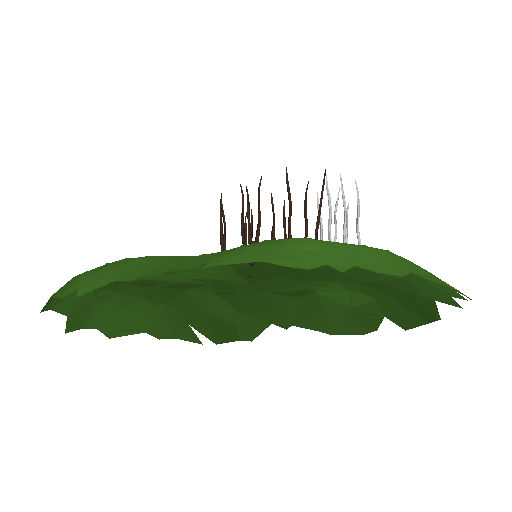 Pine Tree model view 2