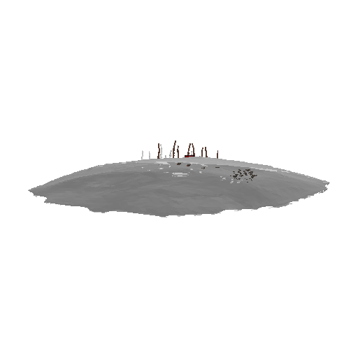 Rock Beach 3 model preview