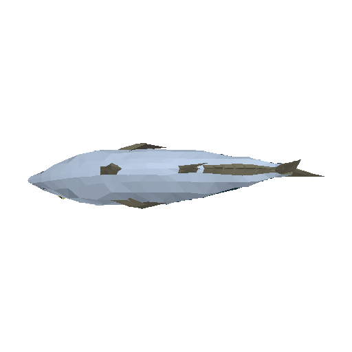 Tuna model preview